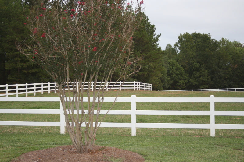 3 Rail Fence Panel